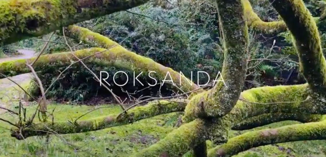 Взгляните на фэшн-фильм лондонского бренда Roksanda о ценности момента