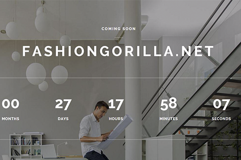FashionGorilla.net создает профессиональную торговую онлайн-платформу
