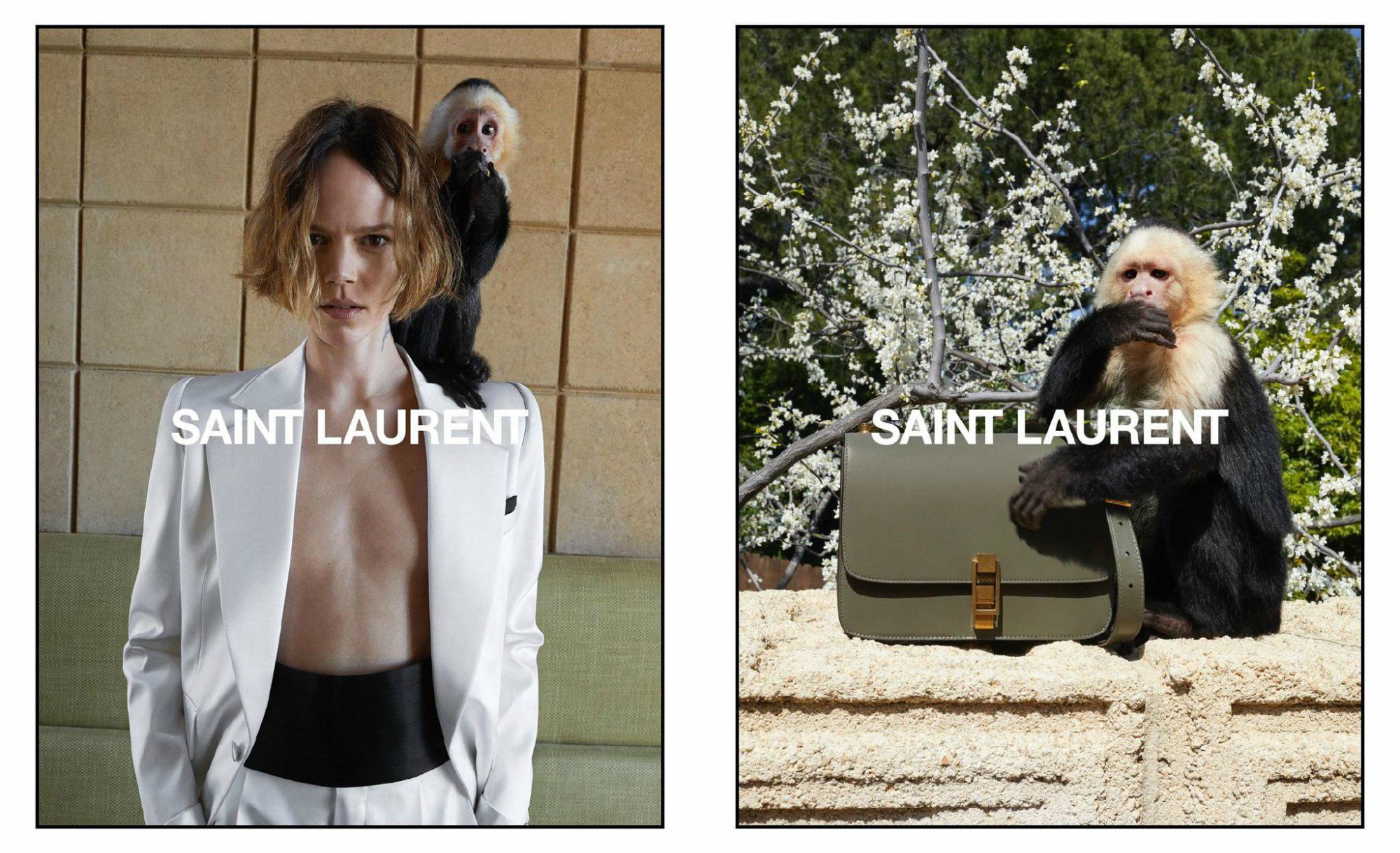 Модель Фрея Беха и обезьянка Алли – герои новой кампании Saint Laurent
