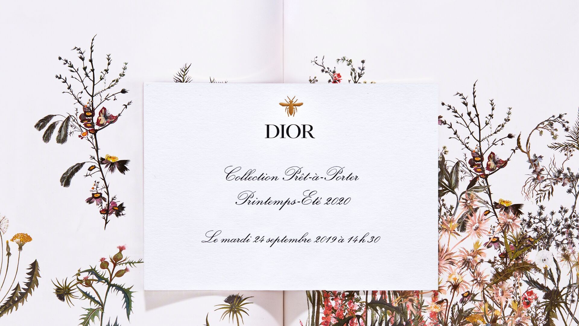 Смотрим показ Dior весна-лето 2020 в прямом эфире