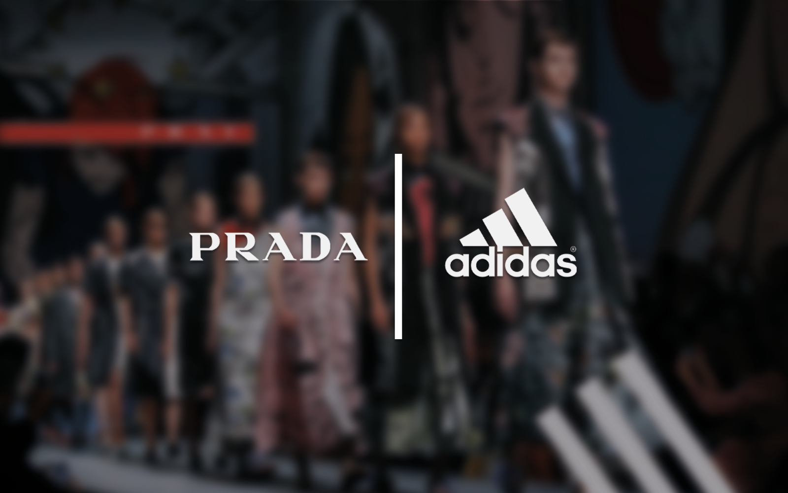 Говорят, adidas и Prada готовят коллаборацию