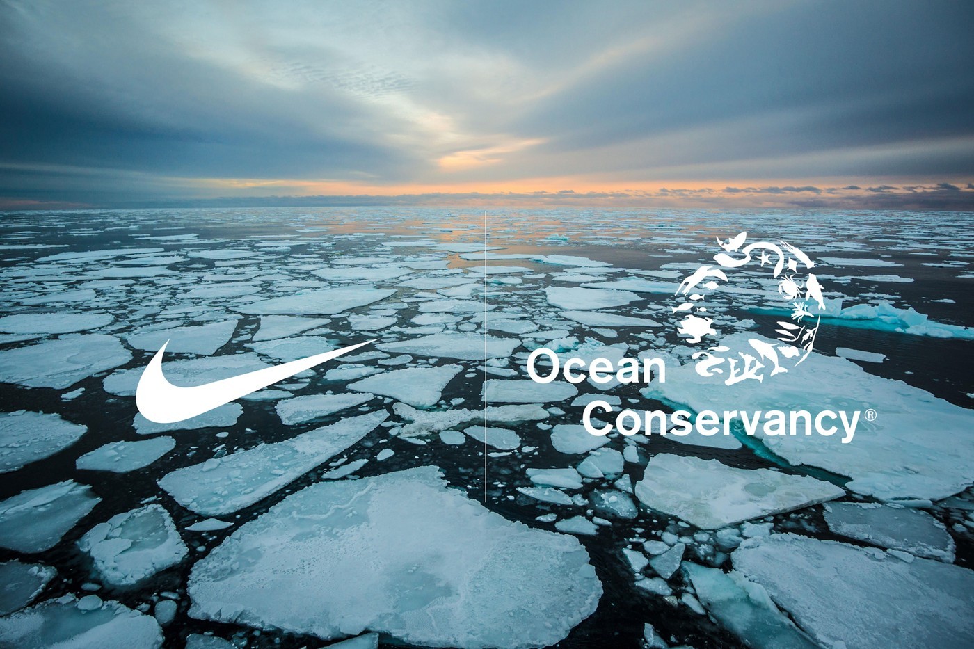 Nike и Ocean Conservancy выступают против таяния ледников