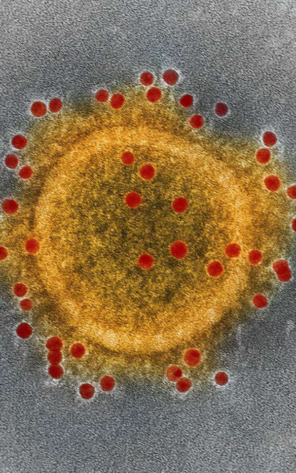 Главное о коронавирусе: как понять, что ты болен? Поможет ли маска? Где сдать тест?