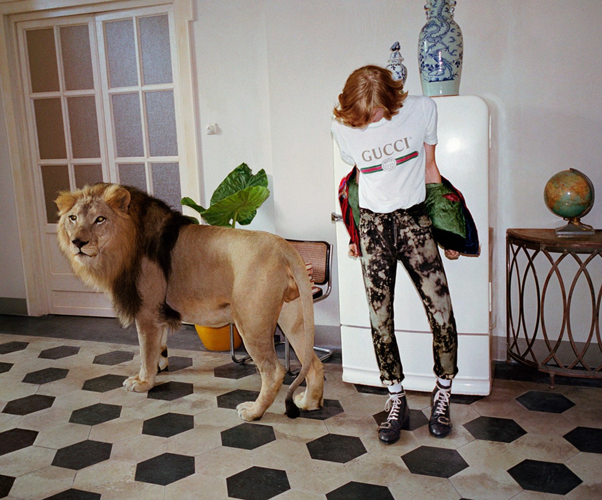 Gucci стали партнерами фонда The Lion''s Share Fund