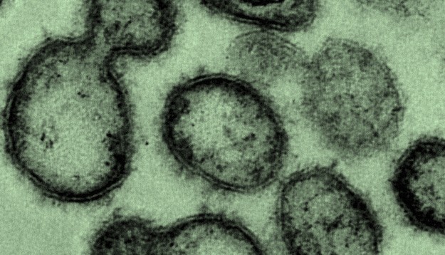 Знай меру: что каждый из нас может сделать для борьбы с коронавирусом