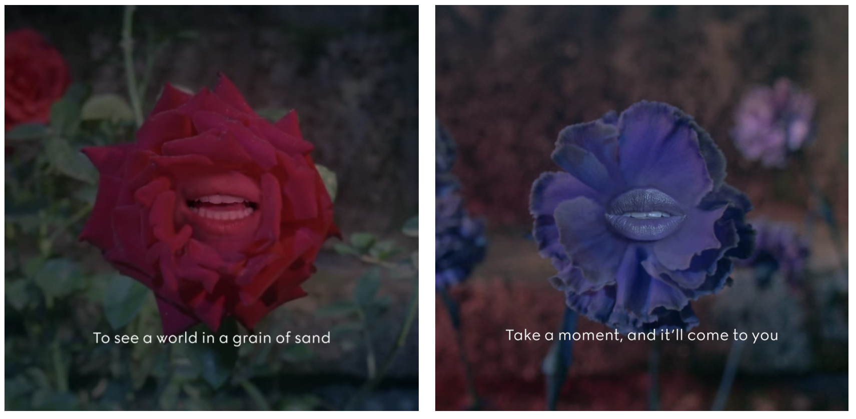 Говорящие цветы – в новой рекламной кампании Gucci Bloom