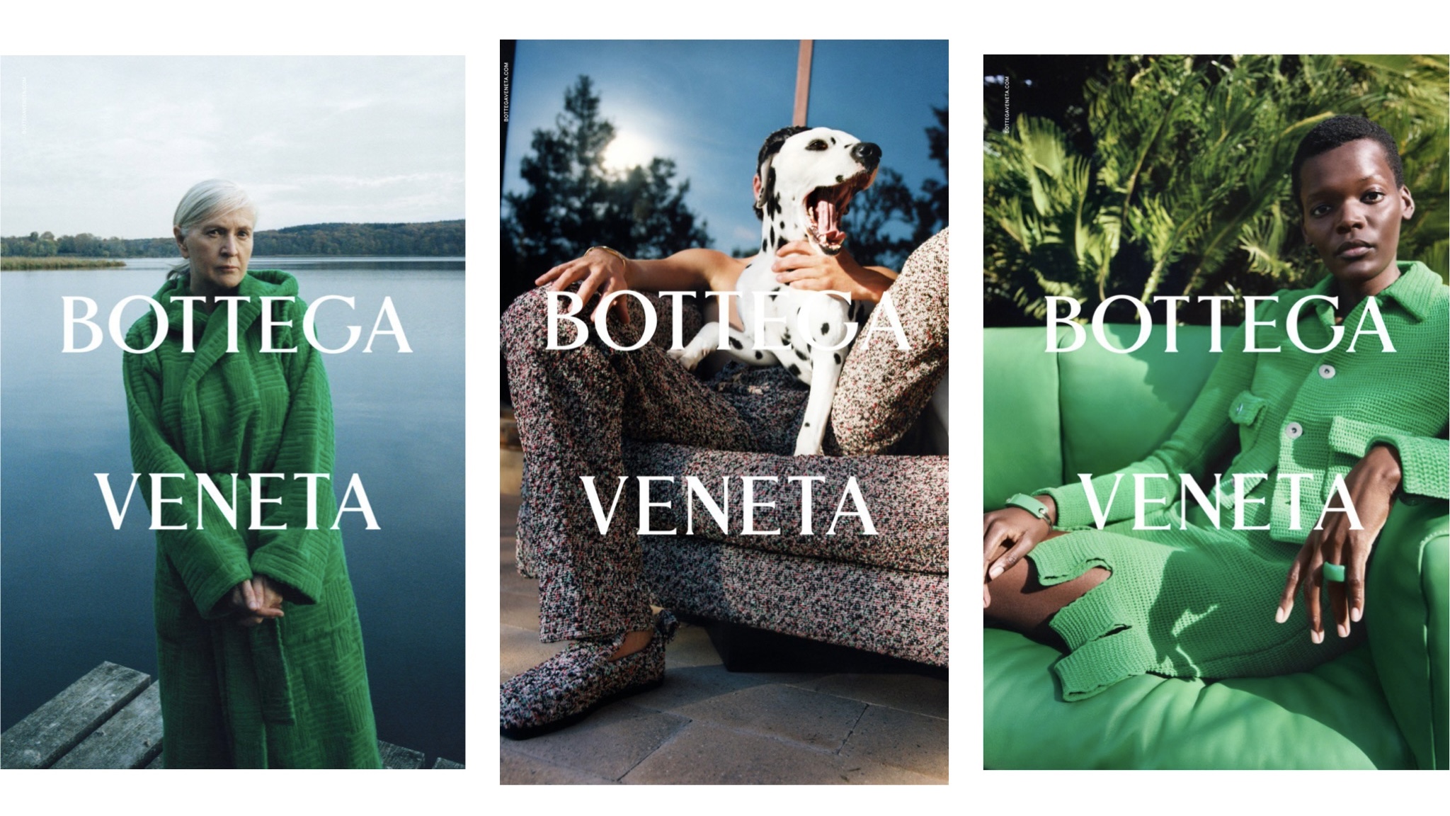 Художница Розмари Трокель (а еще далматинец и попугай) — в новой кампании Bottega Veneta
