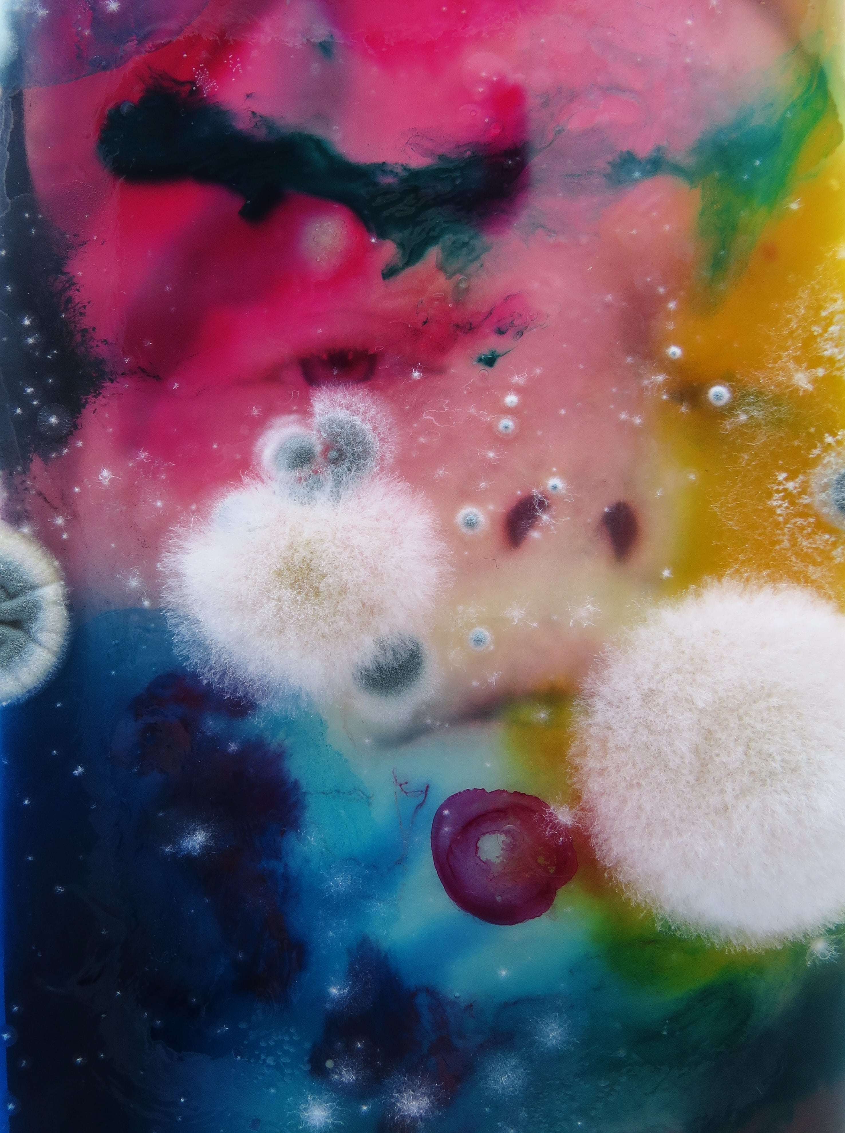 полезная плесень миф или правда. 0aa1b185b79fffa47db43c241d39e9fb. полезная плесень миф или правда фото. полезная плесень миф или правда-0aa1b185b79fffa47db43c241d39e9fb. картинка полезная плесень миф или правда. картинка 0aa1b185b79fffa47db43c241d39e9fb. полезная плесень миф или правда. 0aa1b185b79fffa47db43c241d39e9fb. полезная плесень миф или правда фото. полезная плесень миф или правда-0aa1b185b79fffa47db43c241d39e9fb. картинка полезная плесень миф или правда. картинка 0aa1b185b79fffa47db43c241d39e9fb.