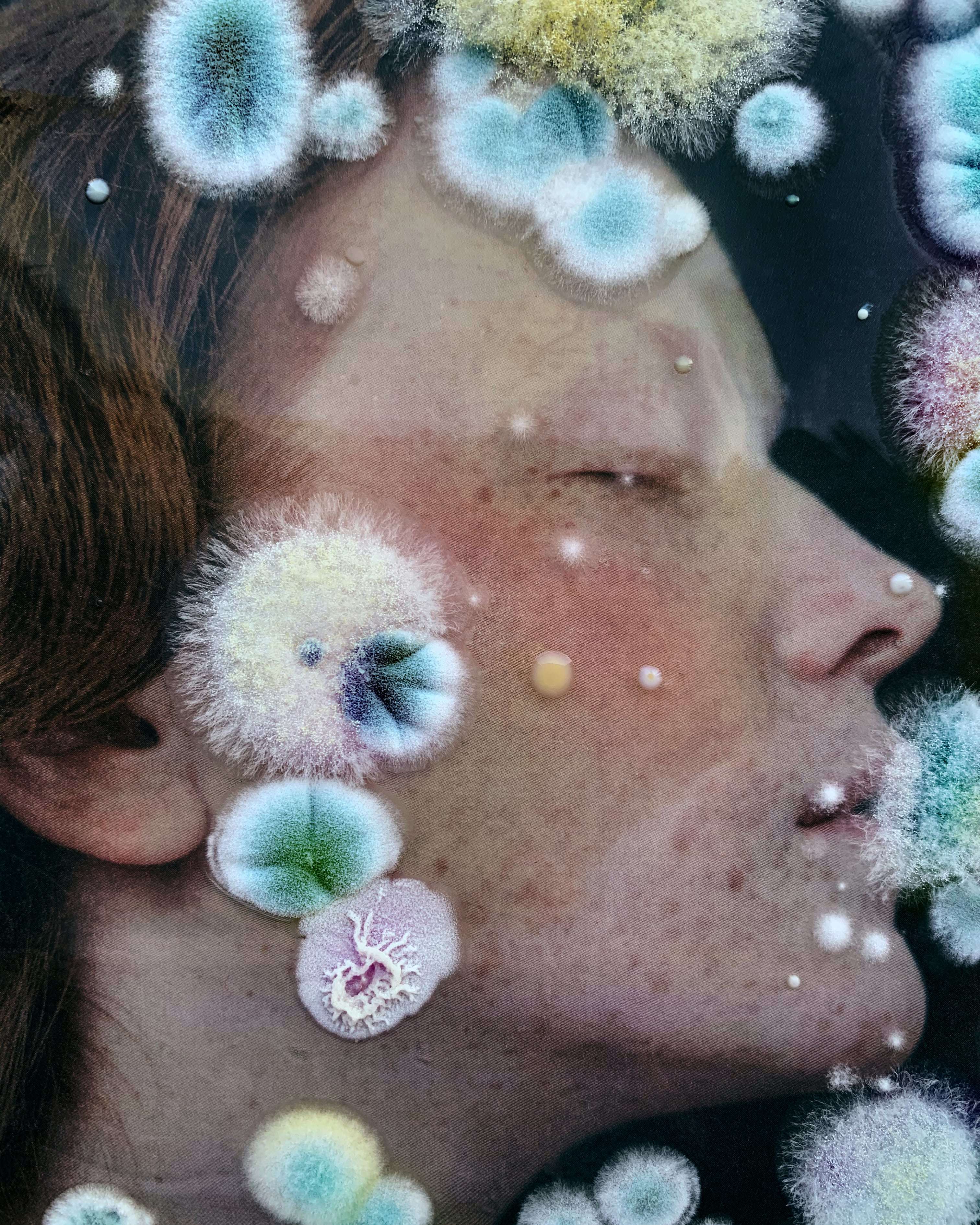 полезная плесень миф или правда. 7eb7b44d6b214af7e00c66d3c3bedb38. полезная плесень миф или правда фото. полезная плесень миф или правда-7eb7b44d6b214af7e00c66d3c3bedb38. картинка полезная плесень миф или правда. картинка 7eb7b44d6b214af7e00c66d3c3bedb38. полезная плесень миф или правда. 7eb7b44d6b214af7e00c66d3c3bedb38. полезная плесень миф или правда фото. полезная плесень миф или правда-7eb7b44d6b214af7e00c66d3c3bedb38. картинка полезная плесень миф или правда. картинка 7eb7b44d6b214af7e00c66d3c3bedb38.