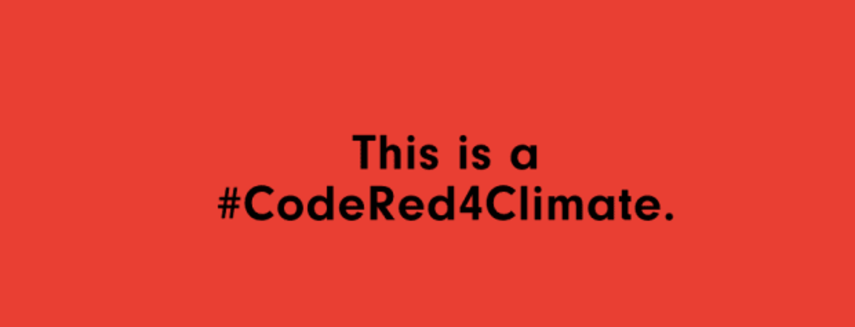 115 американских бьюти-брендов объединились в рамках инициативы #CodeRed4Climate 