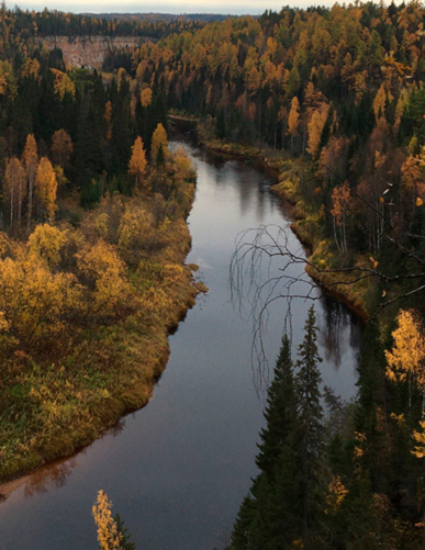 Архангельская область