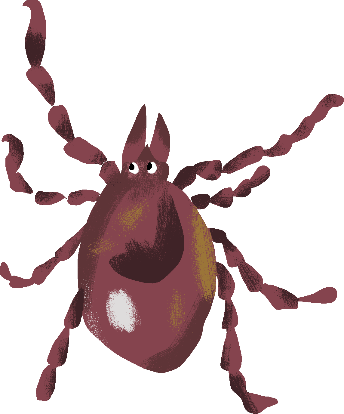 Клещи — какие болезни переносят и как от них защититься