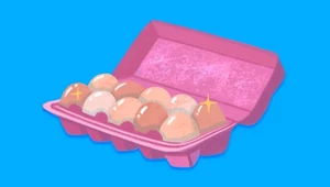 Из Лавки на полку: проверьте, умеете ли вы хранить продукты