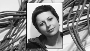 «Снимая кожу с вещей». Памяти Ани Желудь
