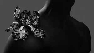 Икебана Boucheron и эмалевые пейзажи Dior. Чем удивляли на неделе высокой моды осень-зима 2025/2026