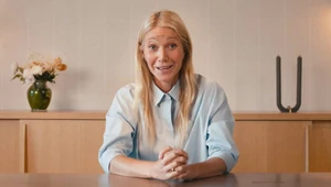 Гвинет Пэлтроу временно заменила бывшего главу компании Astronomer