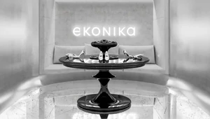 Инсталляция Ekonika и студии Елены Локастовой появится на ярмарке Cosmoscow
