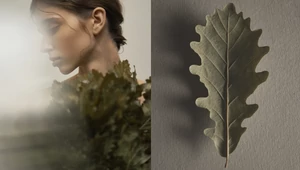 Инструкция. Современная баня как искусство восстановления