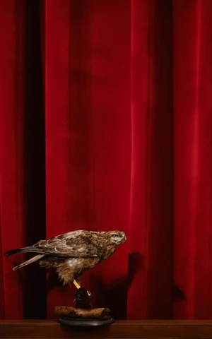 Антон Федоров поставит оперу «Вольный стрелок» в Пермском театре оперы и балета