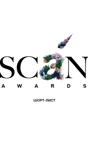 Объявлены номинанты III премии современного искусства Scan Awards