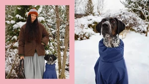 Четырехлапые будни: как собака делает каждый день особенным 