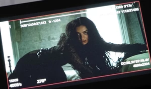 Черный ворон, что ты вьешься — над головою Charli XCX в ее новом клипе House. Из чего он состоит? 