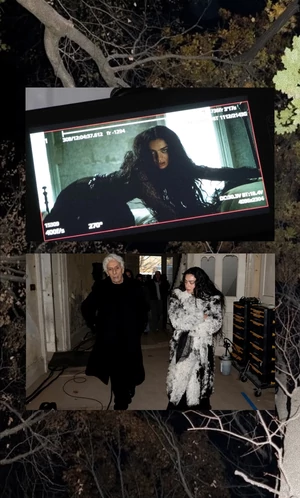 Черный ворон, что ты вьешься — над головою Charli XCX в ее новом клипе House. Из чего он состоит? 