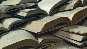 На маркетплейсе Shein можно будет купить книги