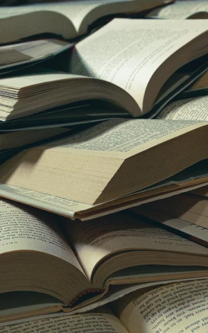 На маркетплейсе Shein можно будет купить книги