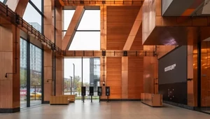 Живая медь, готический самосвал и мбулу-нгулу