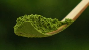 Что вы пьете на самом деле. Главные факты и мифы о чае матча, на котором помешался весь мир