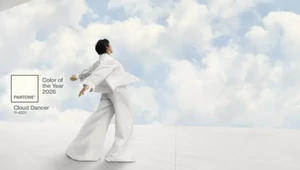 Pantone раскритиковали за выбор цвета года