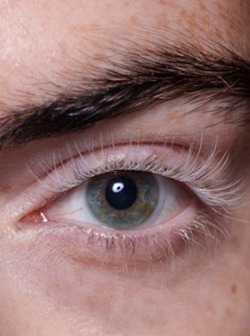 Eckhaus%20Latta%20%u043E%u0441%u0435%u043D%u044C-%u0437%u0438%u043C%u0430%202025/2026