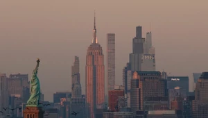 Американские власти приостанавливают программу розыгрыша грин-карт