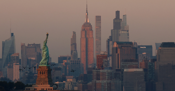 Саш Грин-карты