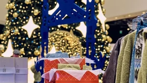 Синий-синий. Новогодний поп-ап The Blueprint x «Саларис» и его обитатели