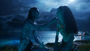 Сборы третьего «Аватара» в мировом прокате 100 млн долларов в первый день премьеры