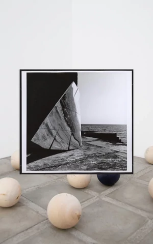 Чудовища, барокко и квартирный вопрос на выставках в январе