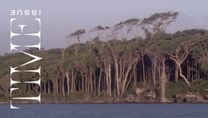 Здесь — не сейчас. Как купить билет в прошлое, будущее и даже самое настоящее настоящее