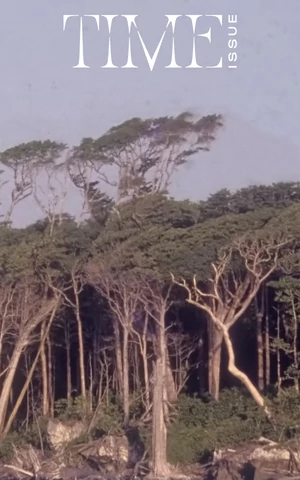 Здесь — не сейчас. Как купить билет в прошлое, будущее и даже самое настоящее настоящее