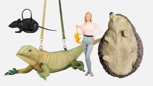 Белочка пришла. Мудборд сумок-животных — по следам Матье Блази и Джонатана Андерсона