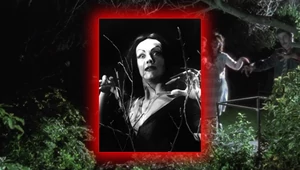 От культа вуду к обществу потребления. Краткая история зомби