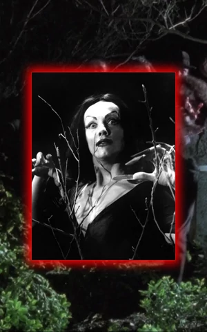 От культа вуду к обществу потребления. Краткая история зомби