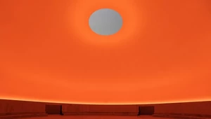 Главные выставки в мире 2026: от Рафаэля и гобелена из Байё до Пьера Юига и манги