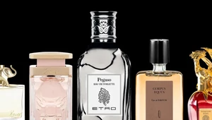 Коты, кони, кальмары — новые музы парфюмеров. Собрали самые удачные духи, посвященные зверью