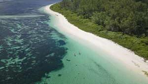 Гигантские черепахи, лобстеры у костра и баунти-пейзажи. Зачем ехать на Сейшелы