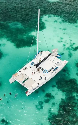 Гигантские черепахи, лобстеры у костра и баунти-пейзажи. Зачем ехать на Сейшелы