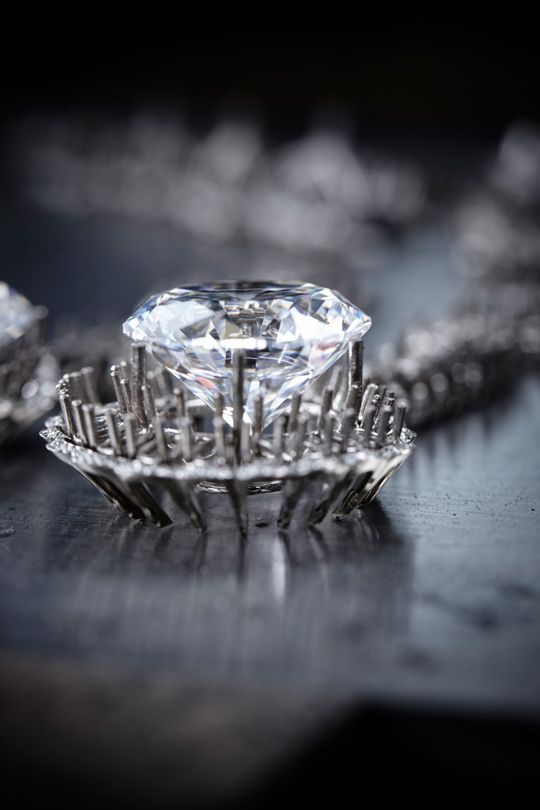 %20The%20Garden%20of%20Kalahari%2C%20Chopard