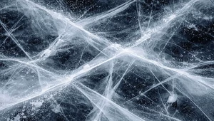 В Доме культуры «ГЭС-2» открылась выставка «Формулы вечности» о холоде 