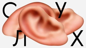 Через 25 лет четверть планеты будет хуже слышать. Что делать сейчас, чтобы спасти свой слух?